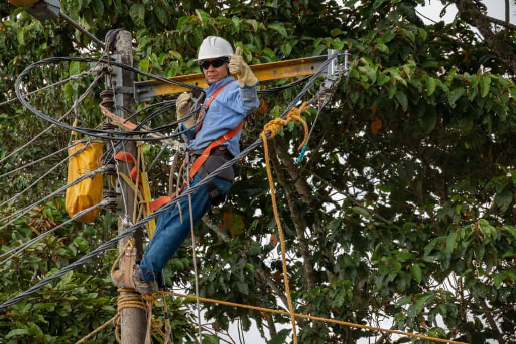 Electrical Lineman working among the trees