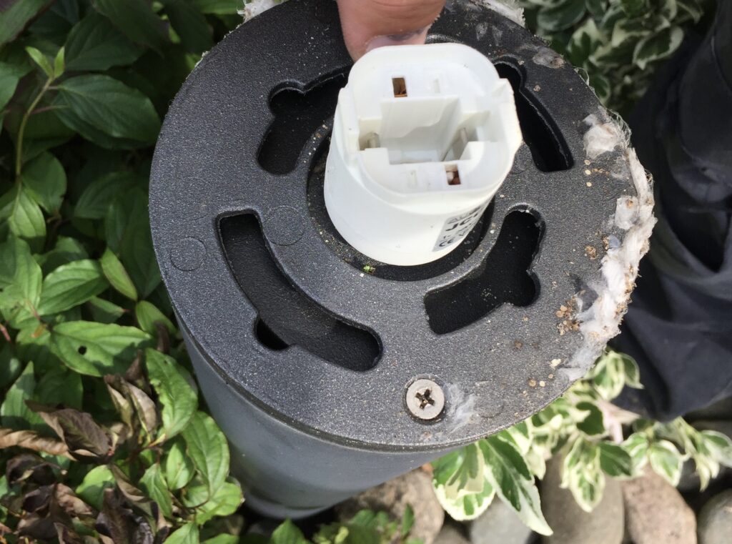 A faulty light I inspected and discovered signs of bug and insect infestation.